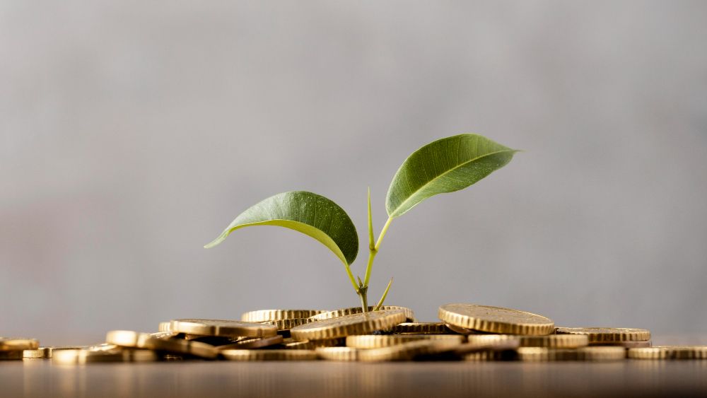 Issue 17 – Pensions Connections